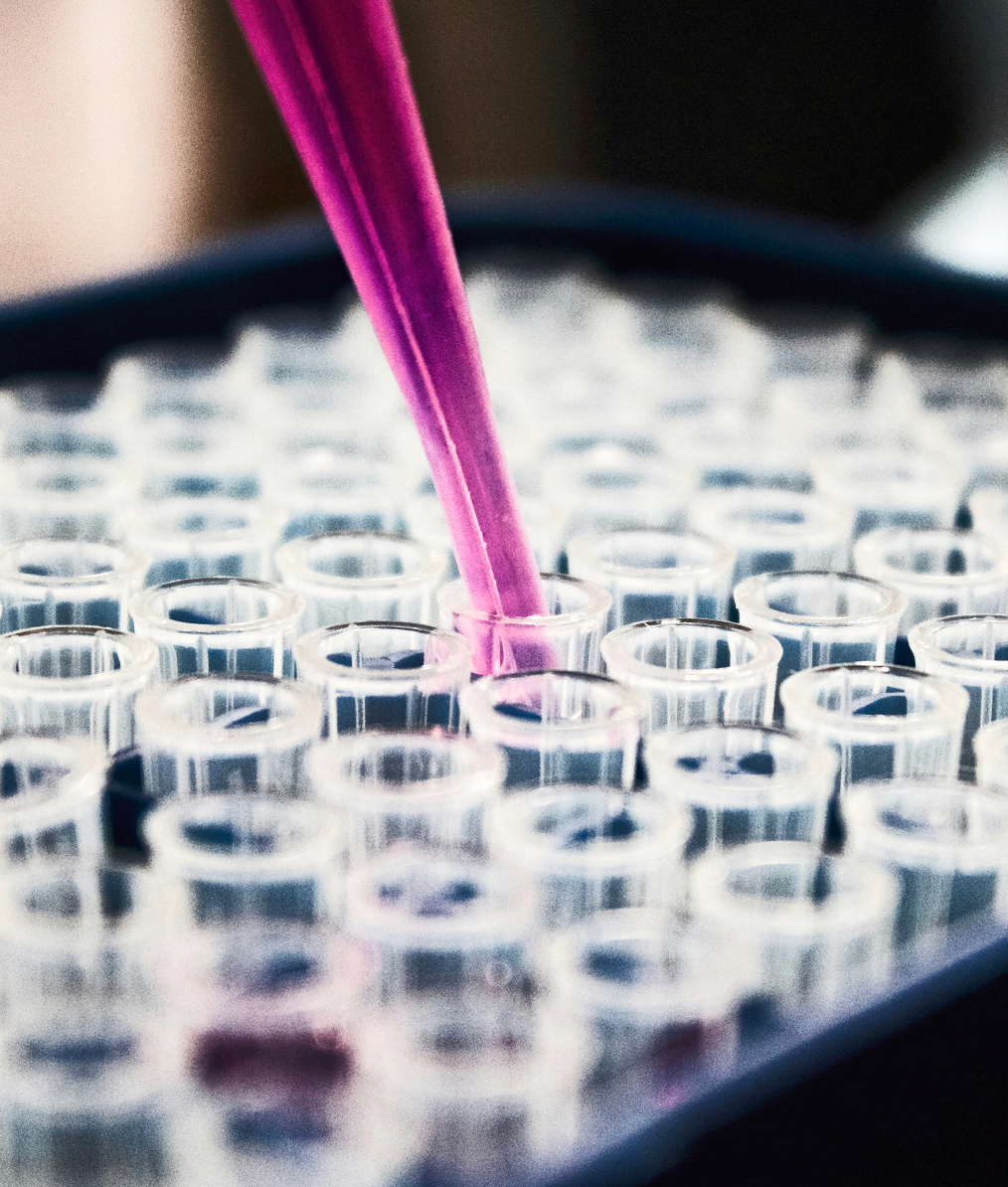 Close-up of a pink pipette dispensing liquid into a clear plastic test tube in a laboratory tray.