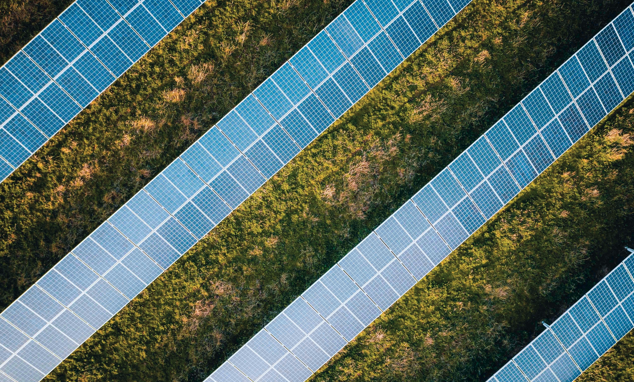 Aerial view of multiple rows of blue solar panels installed on grassy land.
