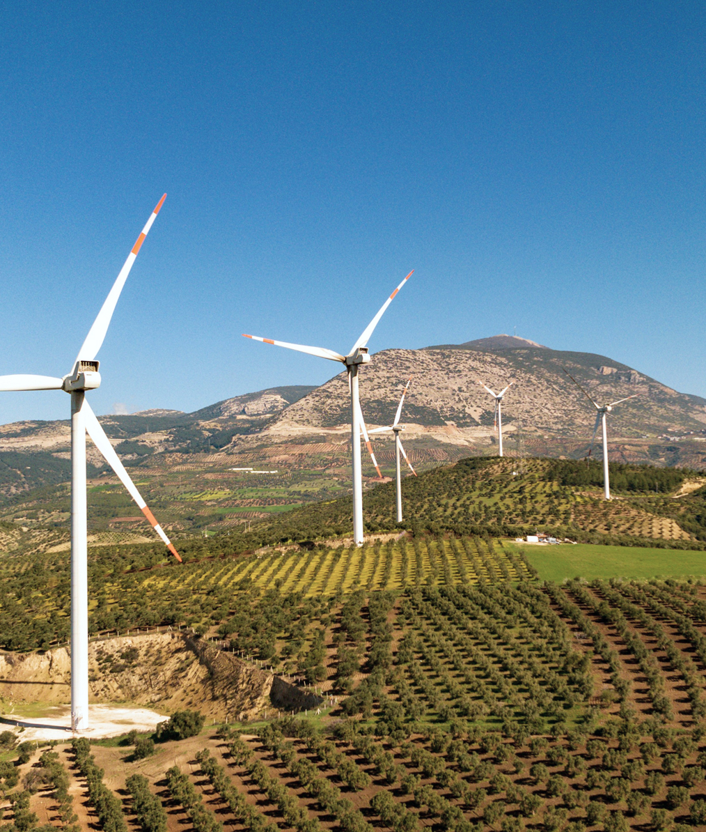 Wind turbines on a green hillside with patterned rows of crops and a mountain in the background under a clear blue sky.